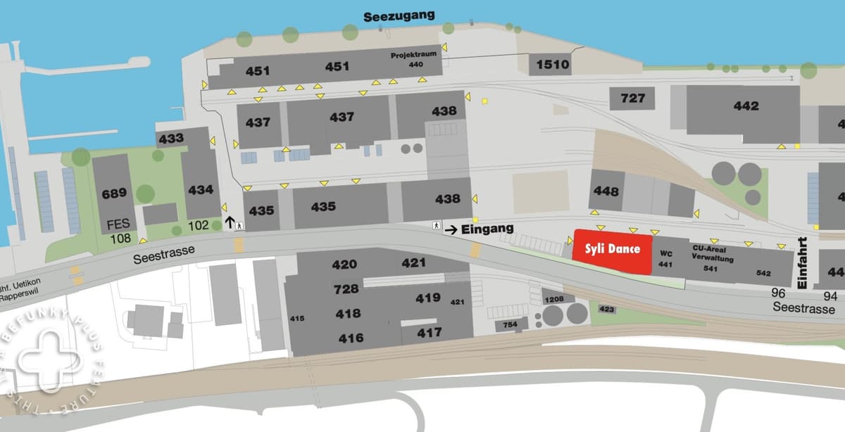 Syli Dance Studio in Uetikon am See